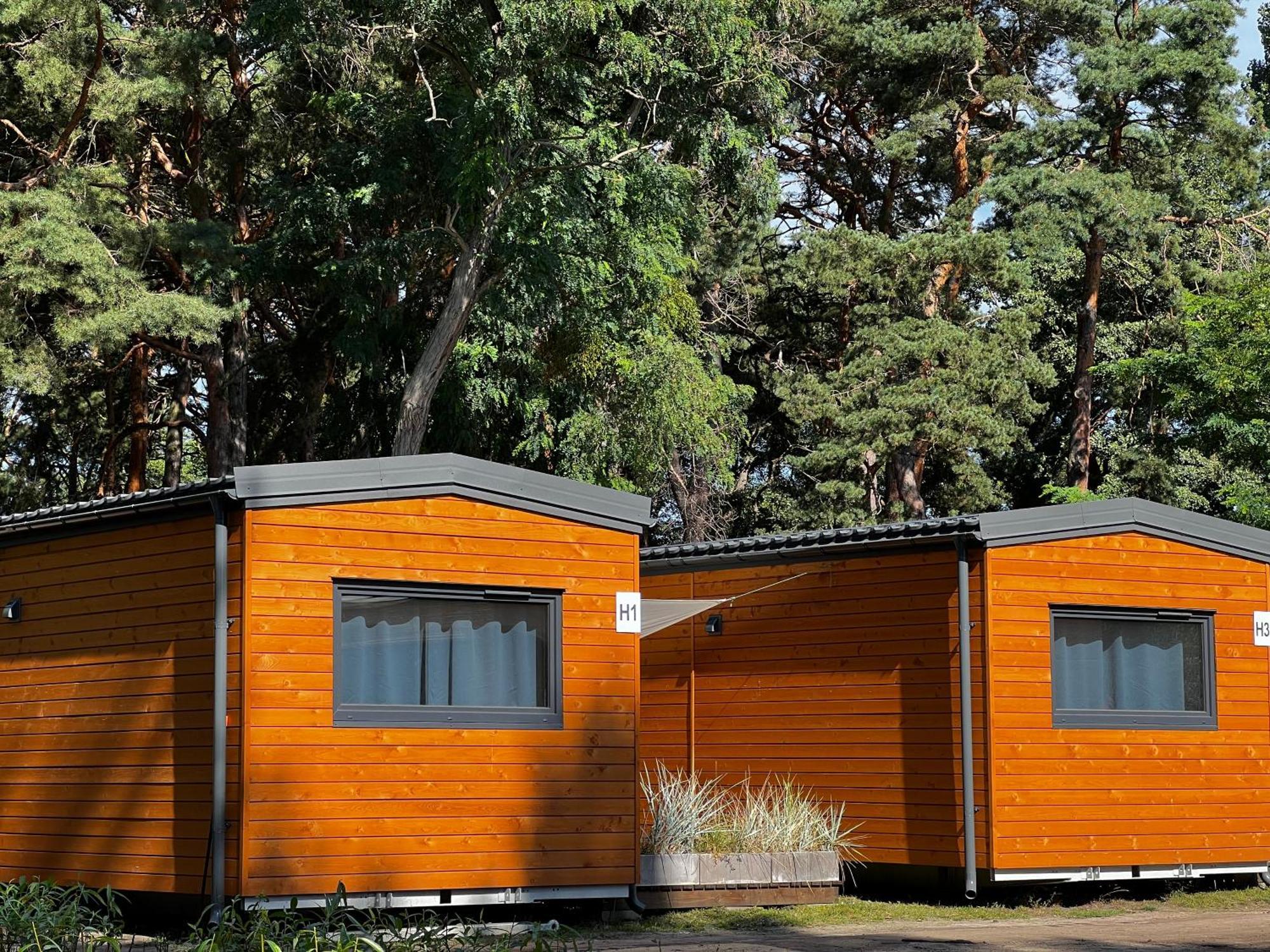 Mobile Home